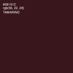 #38161C - Tamarind Color Image