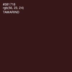 #381718 - Tamarind Color Image