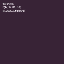 #382236 - Blackcurrant Color Image