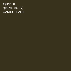 #38311B - Camouflage Color Image