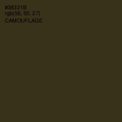 #38321B - Camouflage Color Image