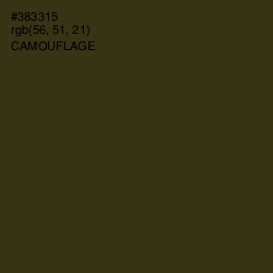 #383315 - Camouflage Color Image