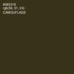 #383318 - Camouflage Color Image