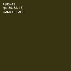 #383412 - Camouflage Color Image