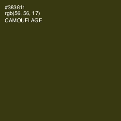 #383811 - Camouflage Color Image