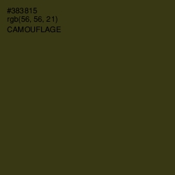 #383815 - Camouflage Color Image