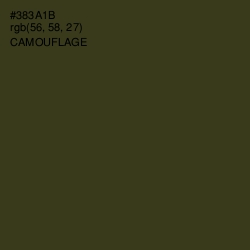 #383A1B - Camouflage Color Image