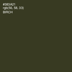 #383A21 - Birch Color Image