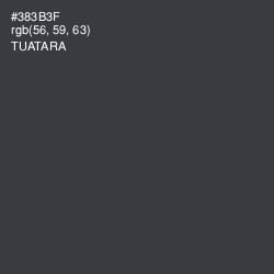 #383B3F - Tuatara Color Image