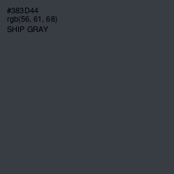 #383D44 - Ship Gray Color Image