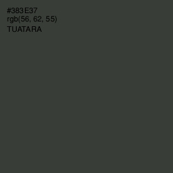 #383E37 - Tuatara Color Image