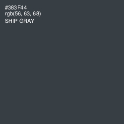 #383F44 - Ship Gray Color Image