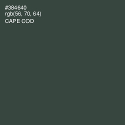 #384640 - Cape Cod Color Image