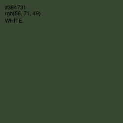 #384731 - Lunar Green Color Image