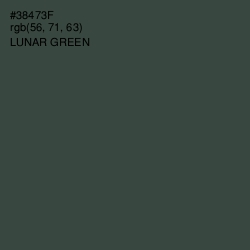 #38473F - Lunar Green Color Image