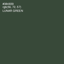 #384839 - Lunar Green Color Image