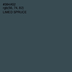 #384A52 - Limed Spruce Color Image