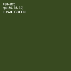 #384B20 - Lunar Green Color Image