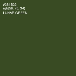 #384B22 - Lunar Green Color Image