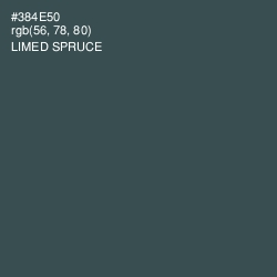 #384E50 - Limed Spruce Color Image