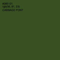 #385121 - Cabbage Pont Color Image