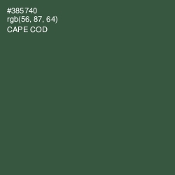 #385740 - Cape Cod Color Image