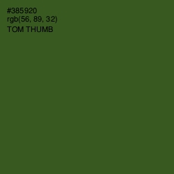 #385920 - Tom Thumb Color Image