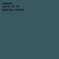 #38595F - Mineral Green Color Image