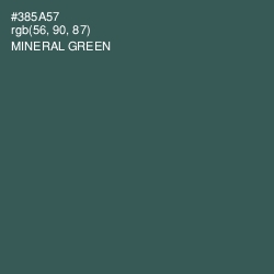 #385A57 - Mineral Green Color Image