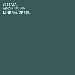 #385A5A - Mineral Green Color Image