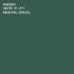 #385B51 - Mineral Green Color Image