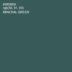 #385B5A - Mineral Green Color Image