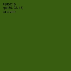 #385C10 - Clover Color Image