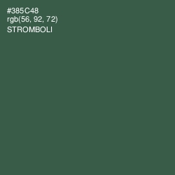 #385C48 - Stromboli Color Image