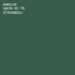 #385C4E - Stromboli Color Image