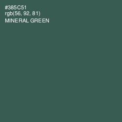#385C51 - Mineral Green Color Image