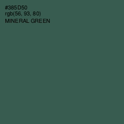 #385D50 - Mineral Green Color Image