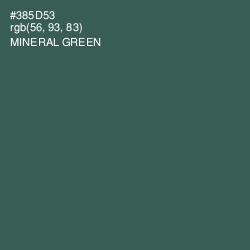 #385D53 - Mineral Green Color Image