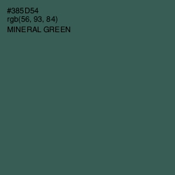 #385D54 - Mineral Green Color Image