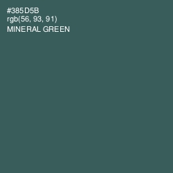 #385D5B - Mineral Green Color Image