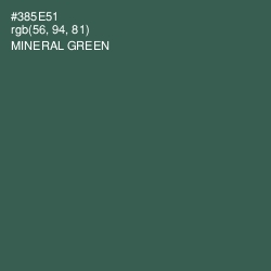 #385E51 - Mineral Green Color Image