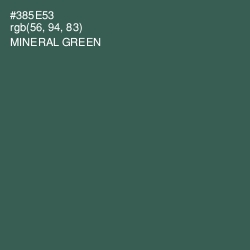 #385E53 - Mineral Green Color Image