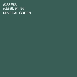 #385E56 - Mineral Green Color Image