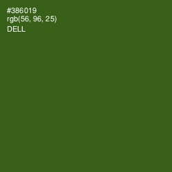 #386019 - Dell Color Image