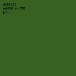 #386121 - Dell Color Image