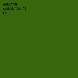 #38670B - Dell Color Image