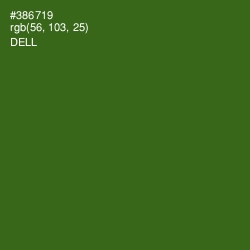 #386719 - Dell Color Image