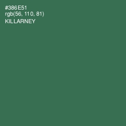 #386E51 - Killarney Color Image