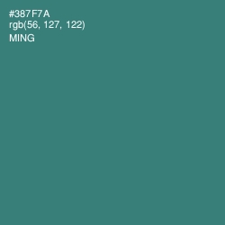 #387F7A - Ming Color Image