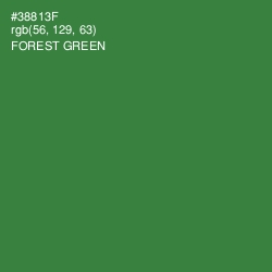 #38813F - Forest Green Color Image